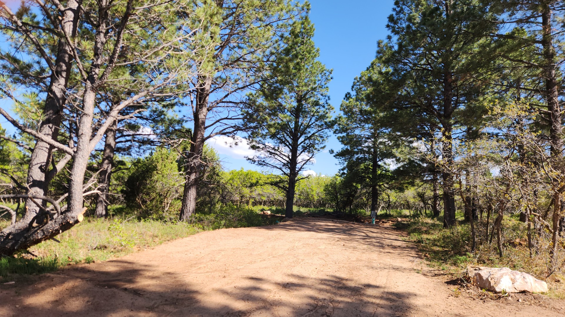 RV Park Information - Taylor Ridge Ranch & RV Park